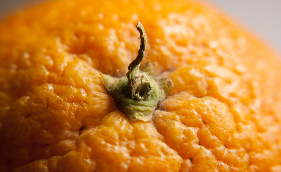 (https://www.flickr.com/…/photolist-eiUUFM-4mKvCs-e6FrUC-bzJ…)